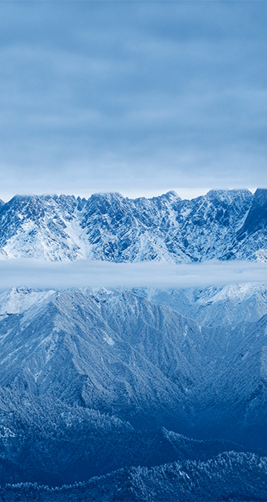 关于凯时尊龙人生就是博